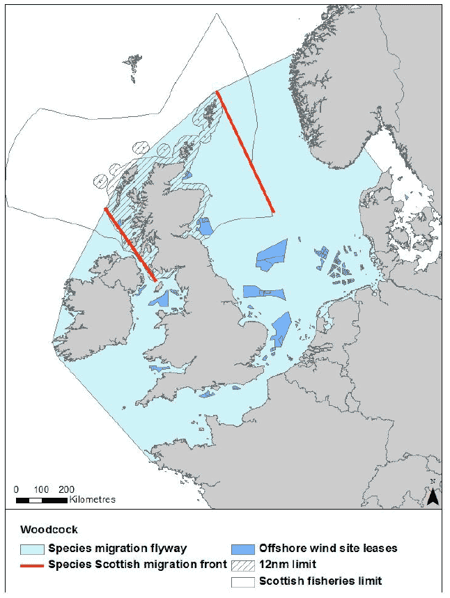 Figure 37 : Migration flyway of woodcock passing Scottish waters