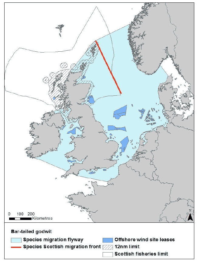 Figure 39: Migration flyway of bar-tailed godwit passing Scottish waters