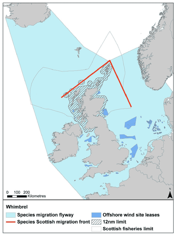 Figure 40: Migration flyway of whimbrel passing Scottish waters