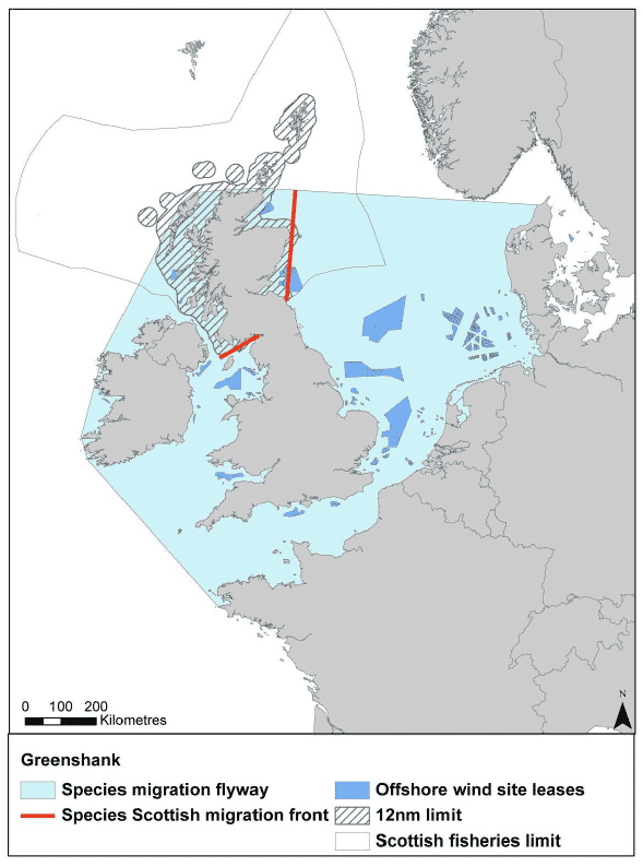 Figure 42: Migration flyway of greenshank passing Scottish waters