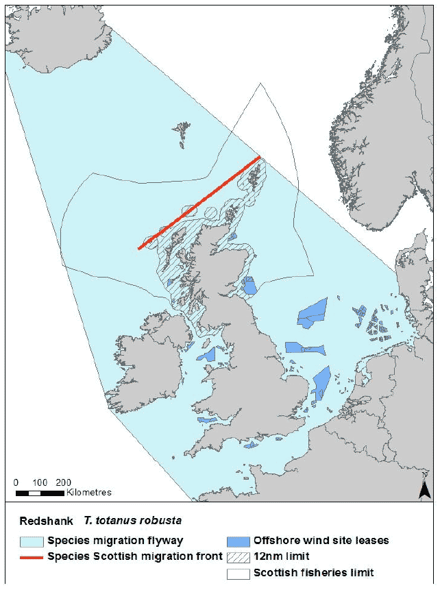 Figure 44: Migration flyway of T. totanus robusta passing Scottish waters