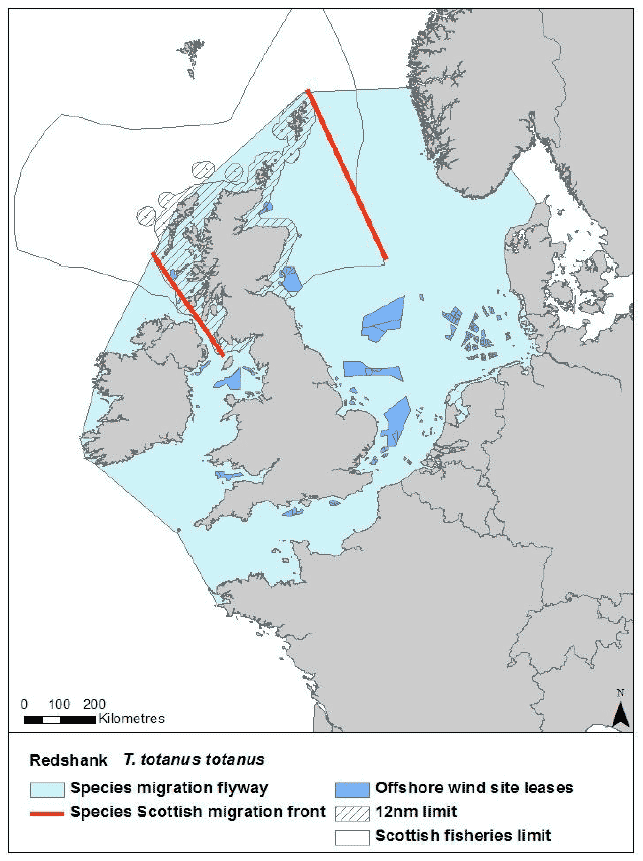 Figure 45: Migration of flyway of T. totanus totanus passing Scottish waters