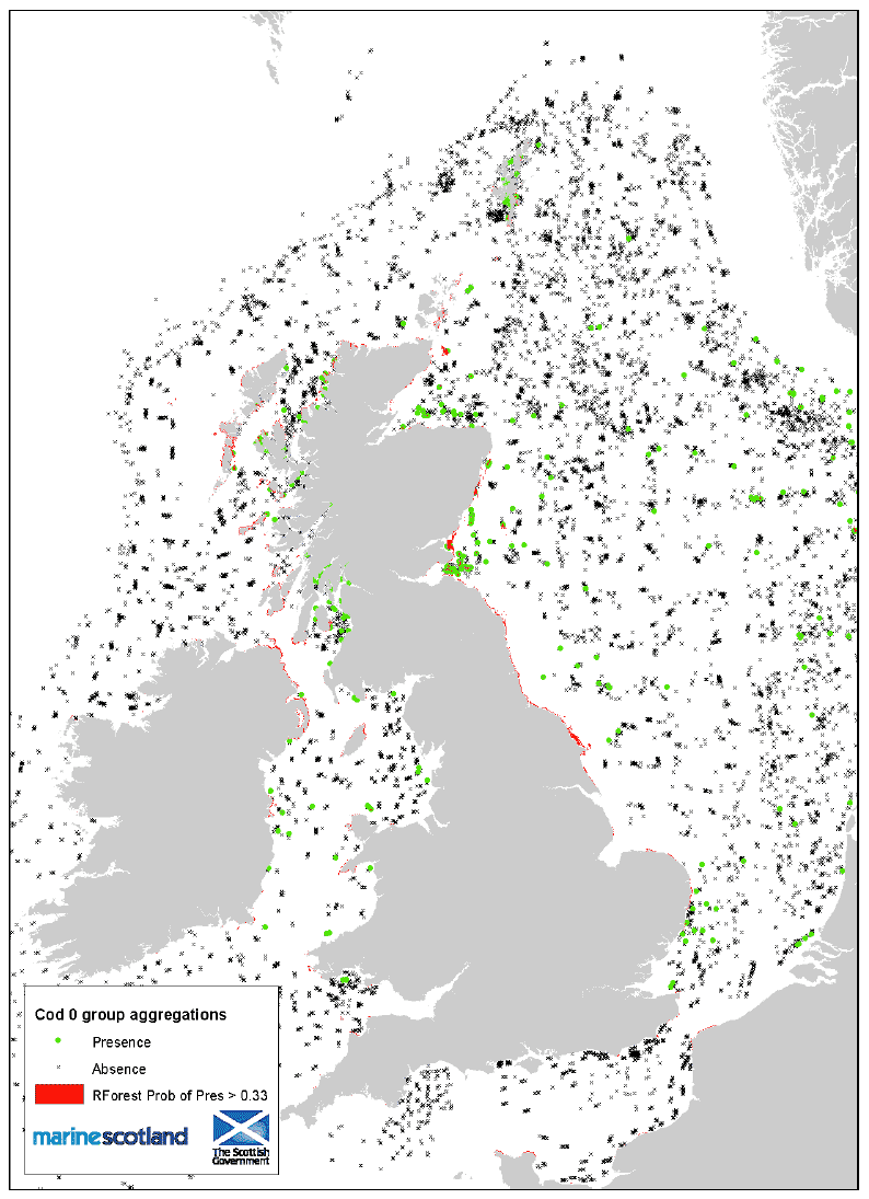 Figure 4: 0 group aggregations and areas of Presence/Absence source data. Cod