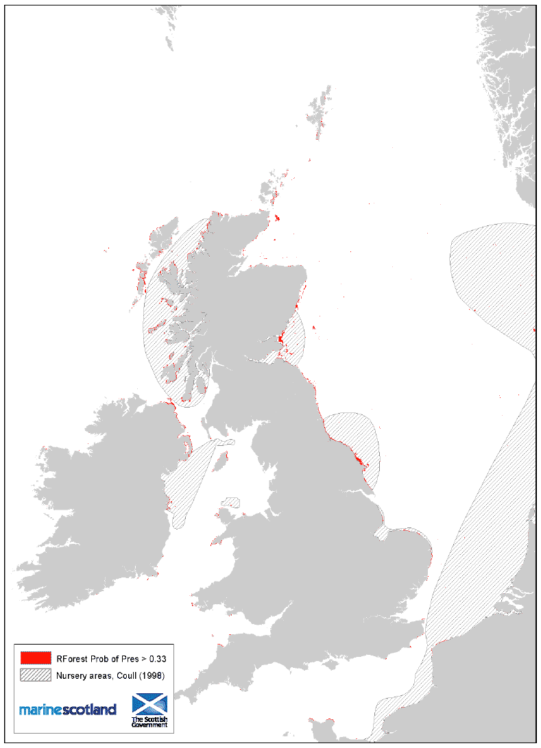 Figure 5: 0 group aggregation areas and Coull (1998) nursery areas. Cod