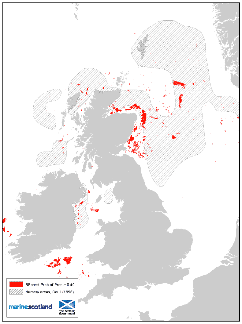 Figure 8: 0 group aggregation areas and Coull (1998) nursery areas. Haddock