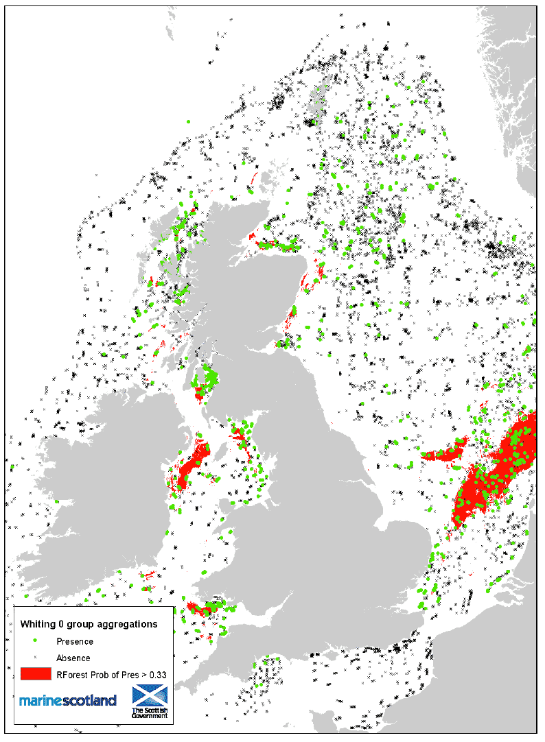Figure 10: 0 group aggregations and areas of Presence/Absence source data. Whiting