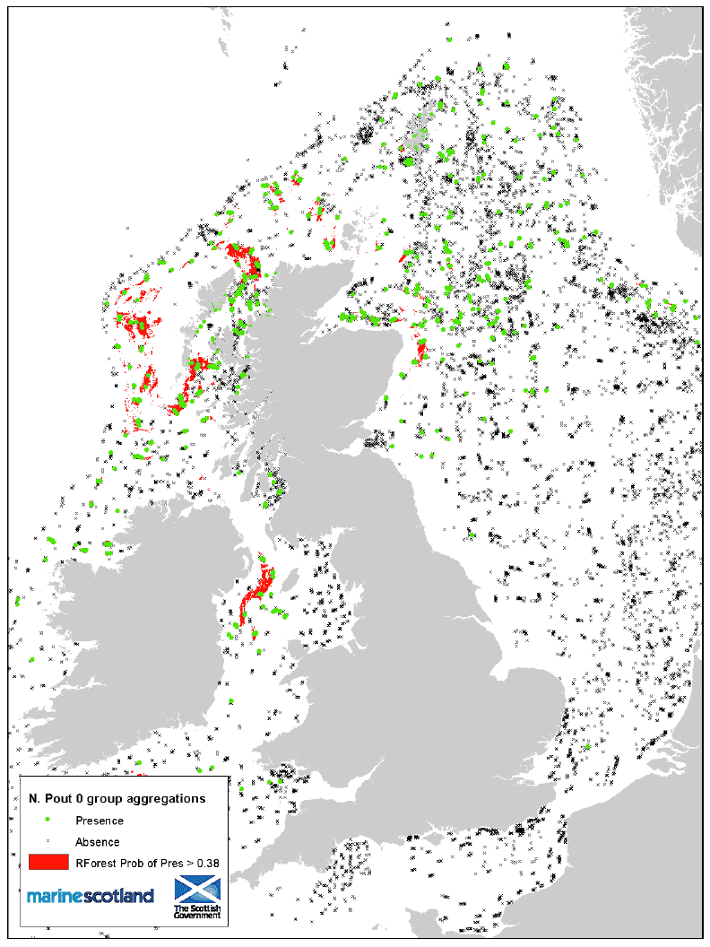 Figure 13: 0 group aggregations and areas of Presence/Absence sources data. Norway pout