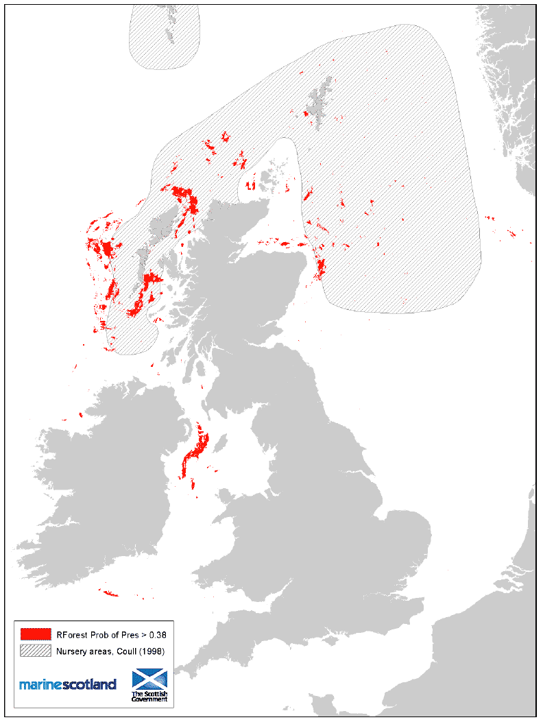 Figure 14: 0 group aggregation areas and Coull (1998) nursery areas. Norway pout