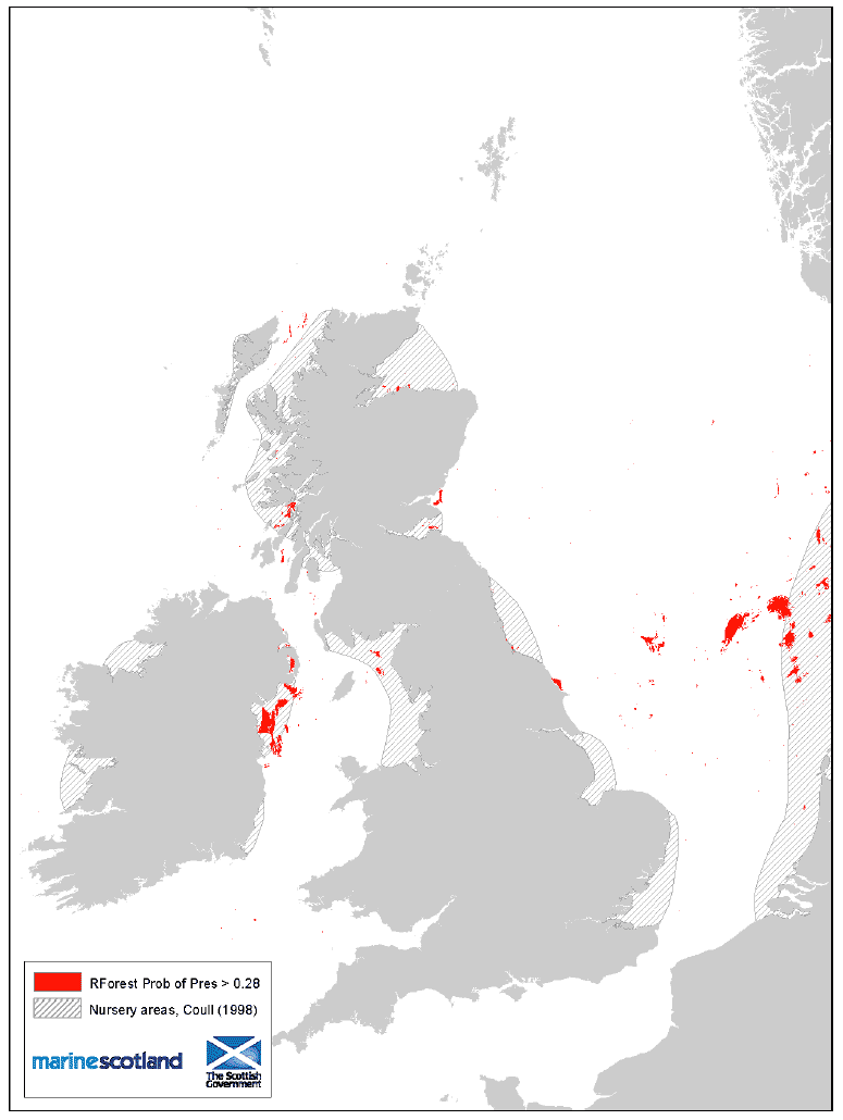 Figure 17: 0 group aggregation areas and Coull (1998) nursery areas. Herring