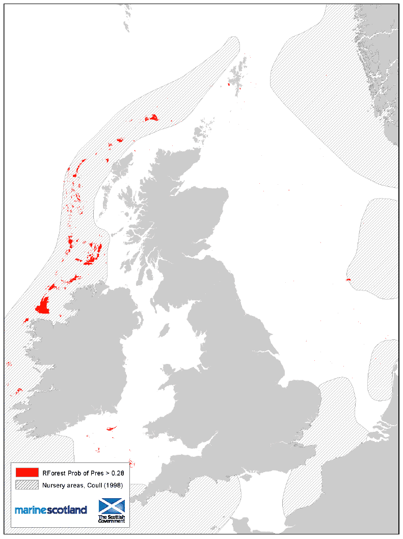 Figure 20: 0 group aggregation areas and Coull (1998) nursery areas. Mackerel