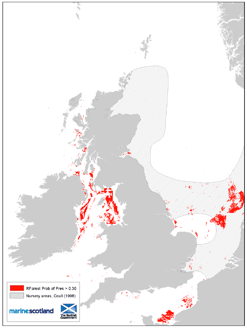 Figure 25: 0 group aggregation areas and Coull (1998) nursery areas. Sprat
