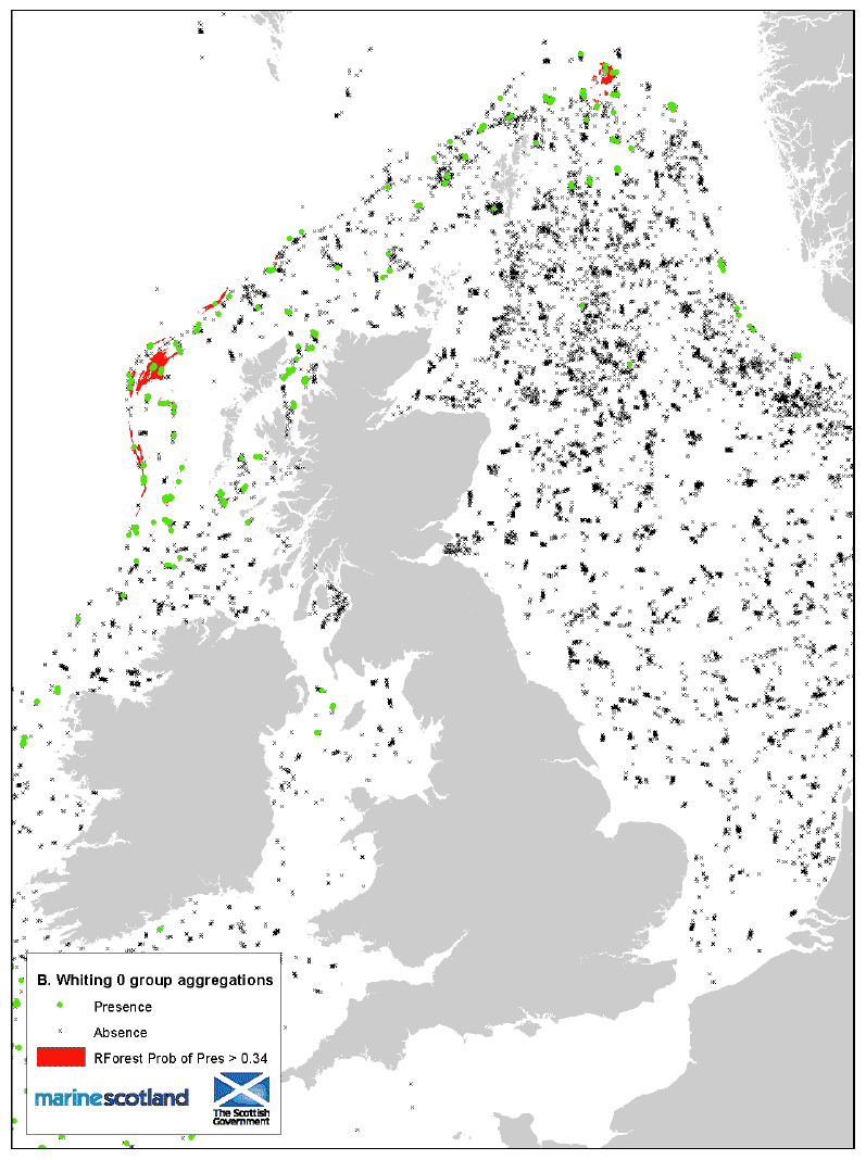 Figure 27: 0 group aggregations and areas of Presence/Absence source data. Blue whiting