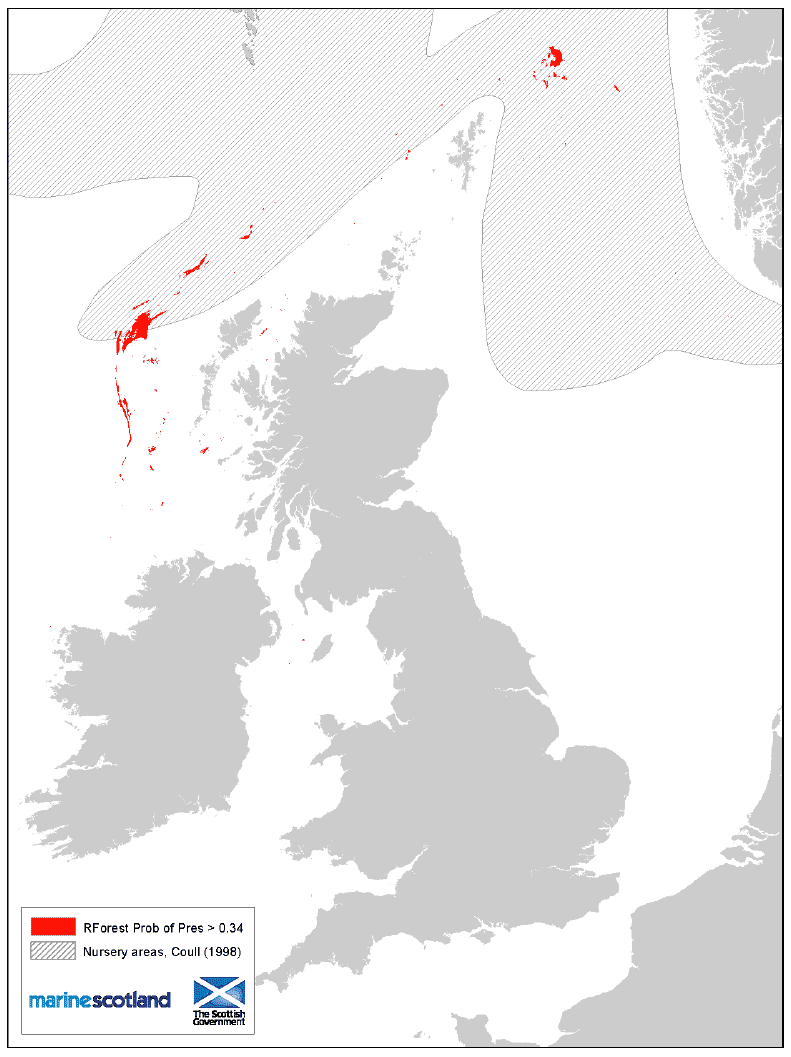 Figure 28: 0 group aggregation areas and Coull (1998) nursery areas. Blue whiting