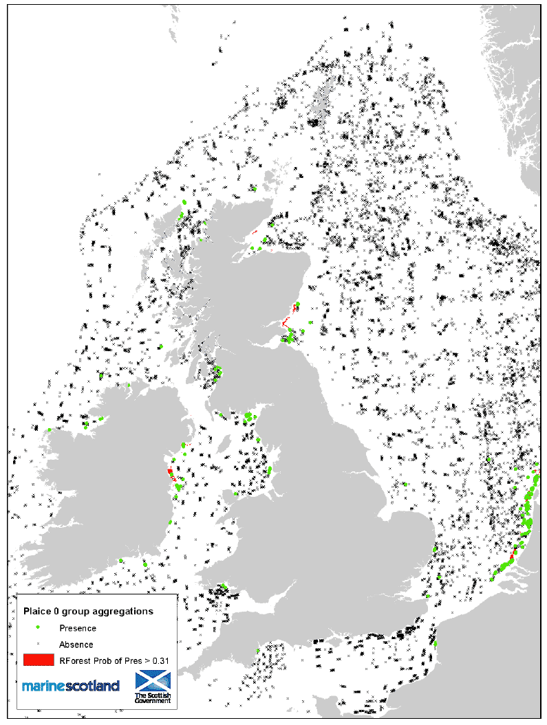 Figure 30: 0 group aggregations and areas of Presence/Absence source data
