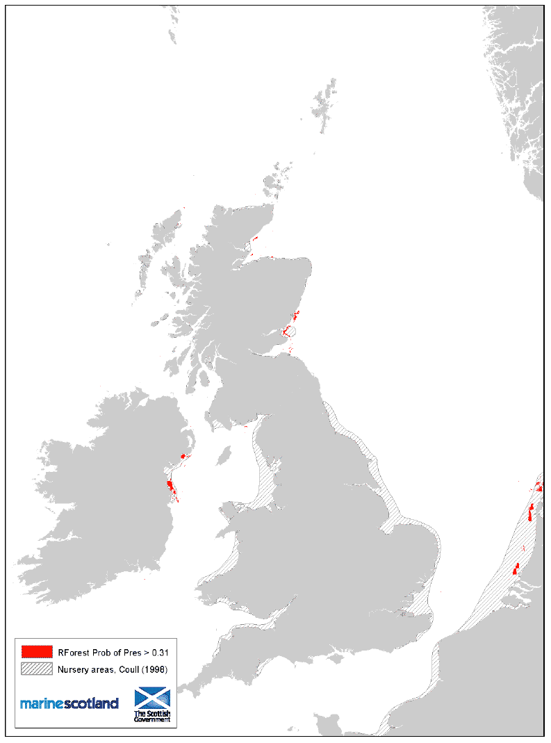 Figure 31: 0 group aggregation areas and Coull (1998) nursery areas. Plaice