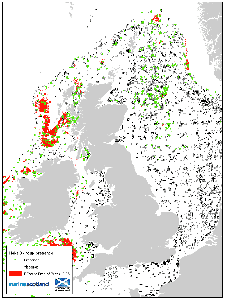 Figure 36: 0 group presences areas and Presence/Absence source data. Hake