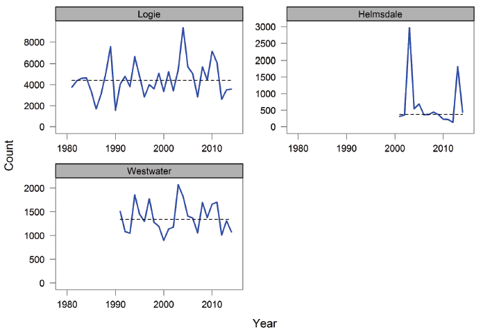 Figure 8: Net upstream counts of adult salmon at MSS counter sites during autumn months (including November).
