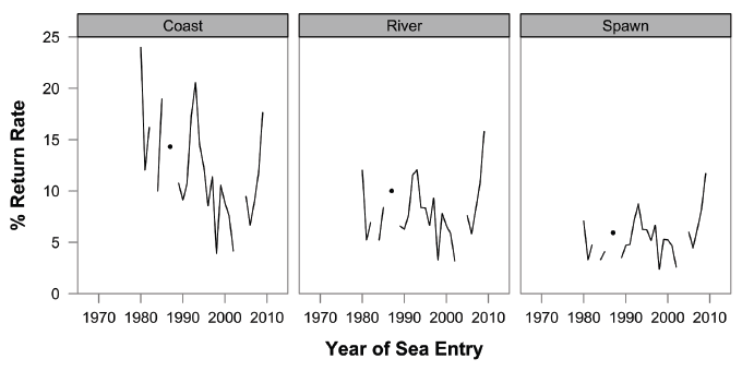 Figure 10: Percentage of North Esk juvenile emigrants (smolts) that return to the coast, to the river and to spawn.  Emigrant numbers were estimated at Kinnaber Mill lade.  Adult numbers were estimated using data from the Logie fish counter and information from local fisheries.  The ages of returning fish were estimated from a sample of fish taken in the net and coble fishery.
