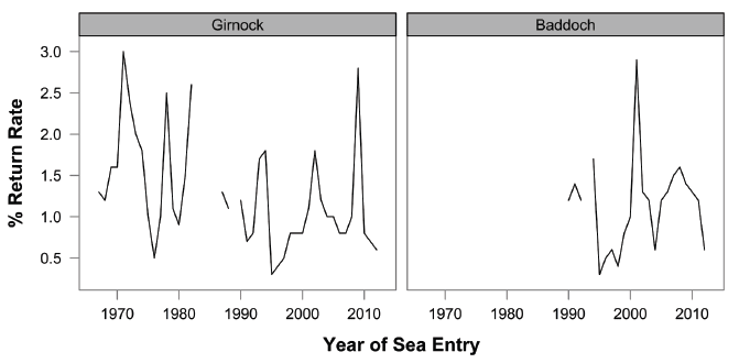 Figure 11: Percentage of juvenile emigrants (autumn parr and smolts) that return to the Girnock and Baddoch traps to spawn as adult females.  Emigrant and female spawner numbers were obtained from direct counts at the traps.  Ages of female fish were obtained from scale reading. 