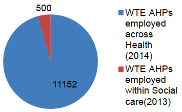 WTE AHPs employed within Heath & Social Care