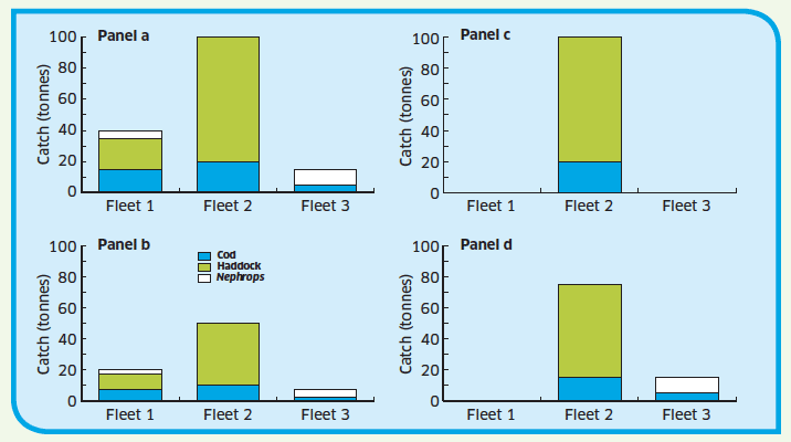 A simple example of management options for three fleets catching three species (cod, haddock and Nephrops)