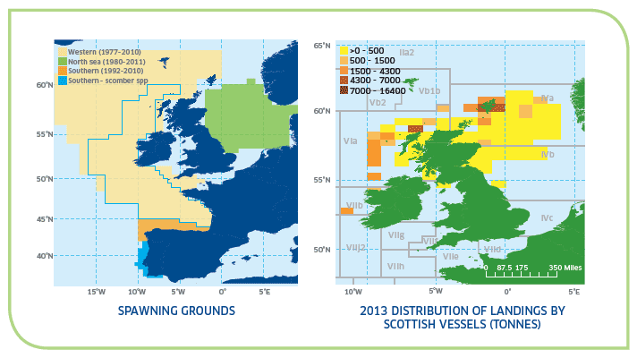 Spawning Grounds and 2013 distribution of Landings by Scottish Vessels (tonnes)