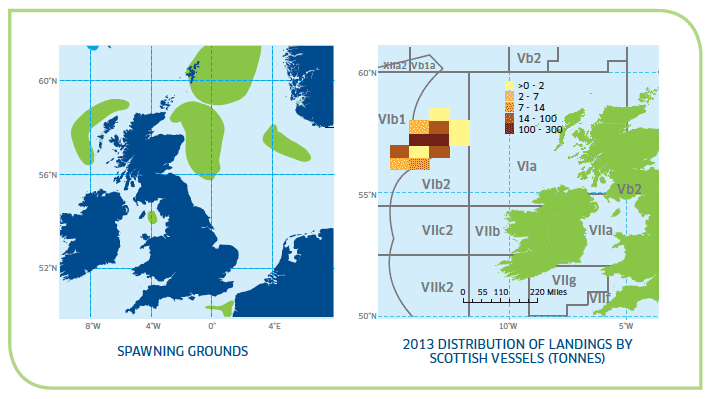 Spawning Grounds and 2013 Distribution of Landings by Scottish Vessels (tonnes)