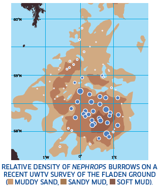 Relative Density of Nephrops Burrows on a Recent UWTV Survey of the Fladen Ground