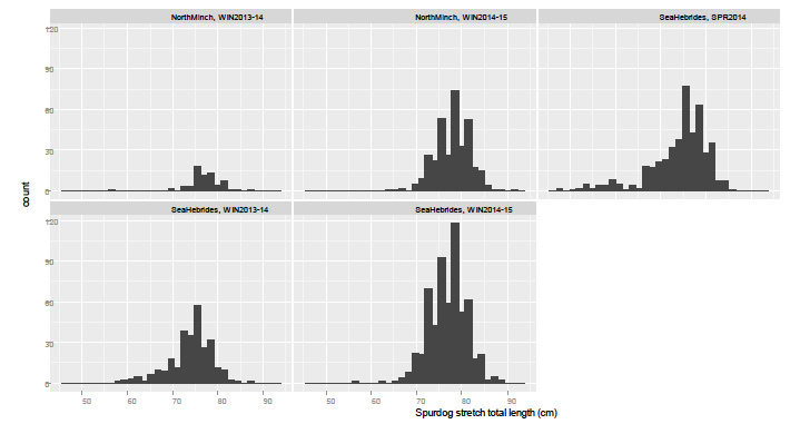 Figure 5: Length distributions of male spurdog returned to Barratlantic