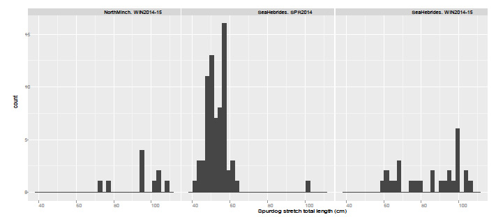 Figure 6: Length distributions of female spurdog returned to Barratlantic