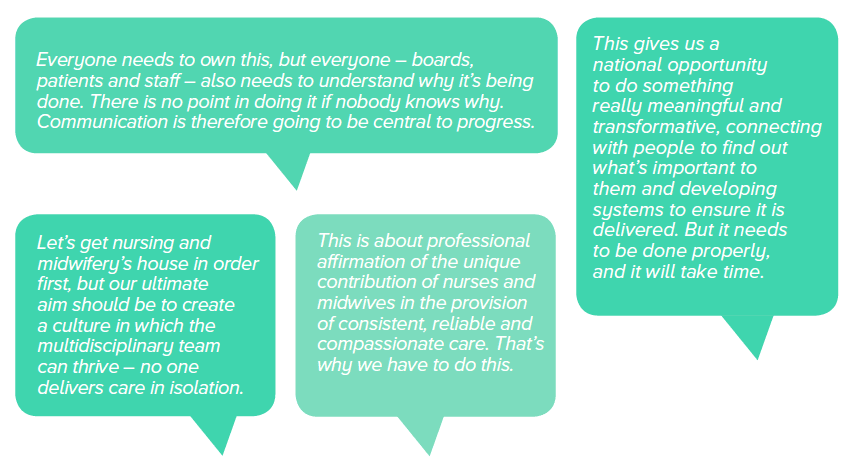 Messages from spokespersons for each group that were asked to discuss the idea of a national approach to assuring nursing and midwifery care