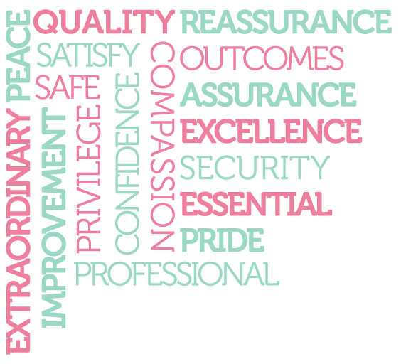 Words to describe what assuring Nursing and Midwifery Care mean to you