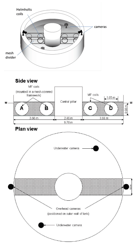 Schematic, side, and plan views of the annular tank in which the experiment took place