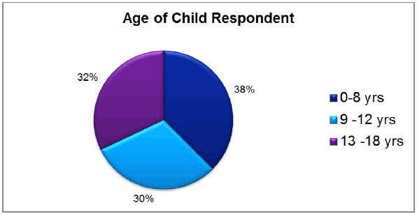 Figure 3 Children and young people's survey