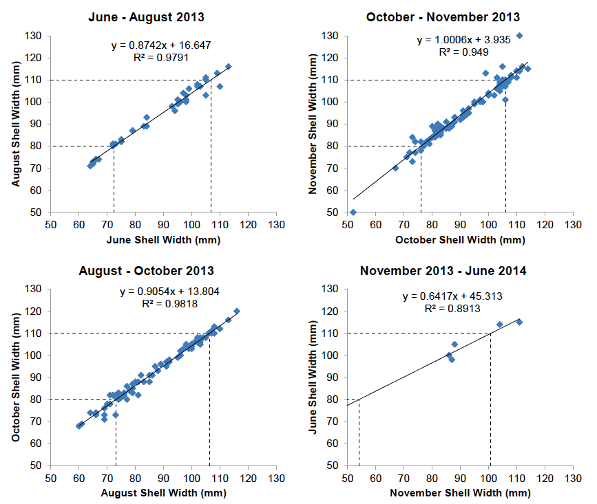 Figure 8: Growth of tagged scallops between depletion fishing occasions at Wyre: relationship of shell width at release (x-axis) and shell width at recapture (y-axis) for consecutive depletion fishing occasions.