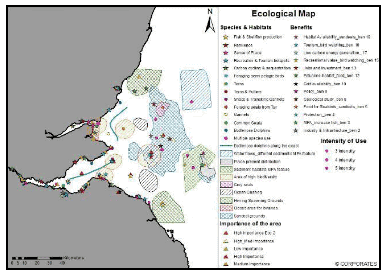 Figure 5. NGO, Ecology Sector Map (combined groups).