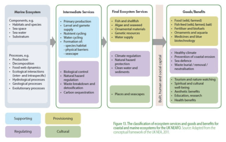 Figure 10. The classification of ES and goods and benefits for coastal and marine ecosystems for the UK NEAFO. (Turner et al. 2014).