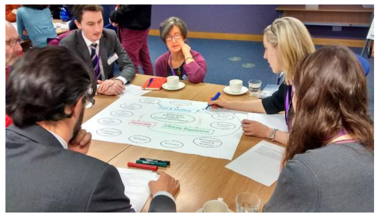 Image 4. Stakeholders drawing arrows to show how benefits link to different ES.
