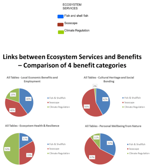 Figure 19. Pie charts showing a comparison of the links between ES and Benefits of the 4 different benefit categories with all 3 tables (green, blue and red) doing the exercise combined.