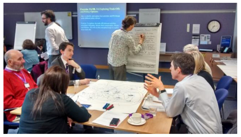 Image 6. Stakeholders exploring the trade-offs and policy options.