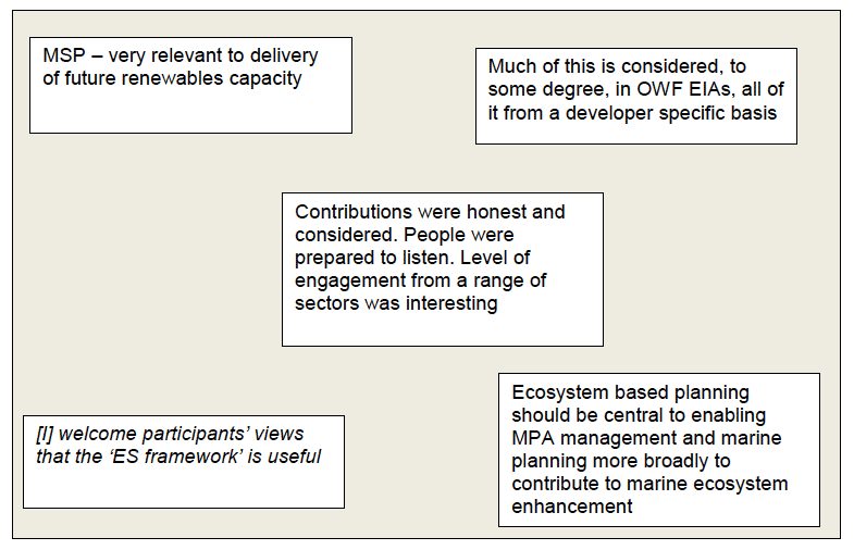 Figure 27.Selected stakeholder comments about workshop 2 overall
