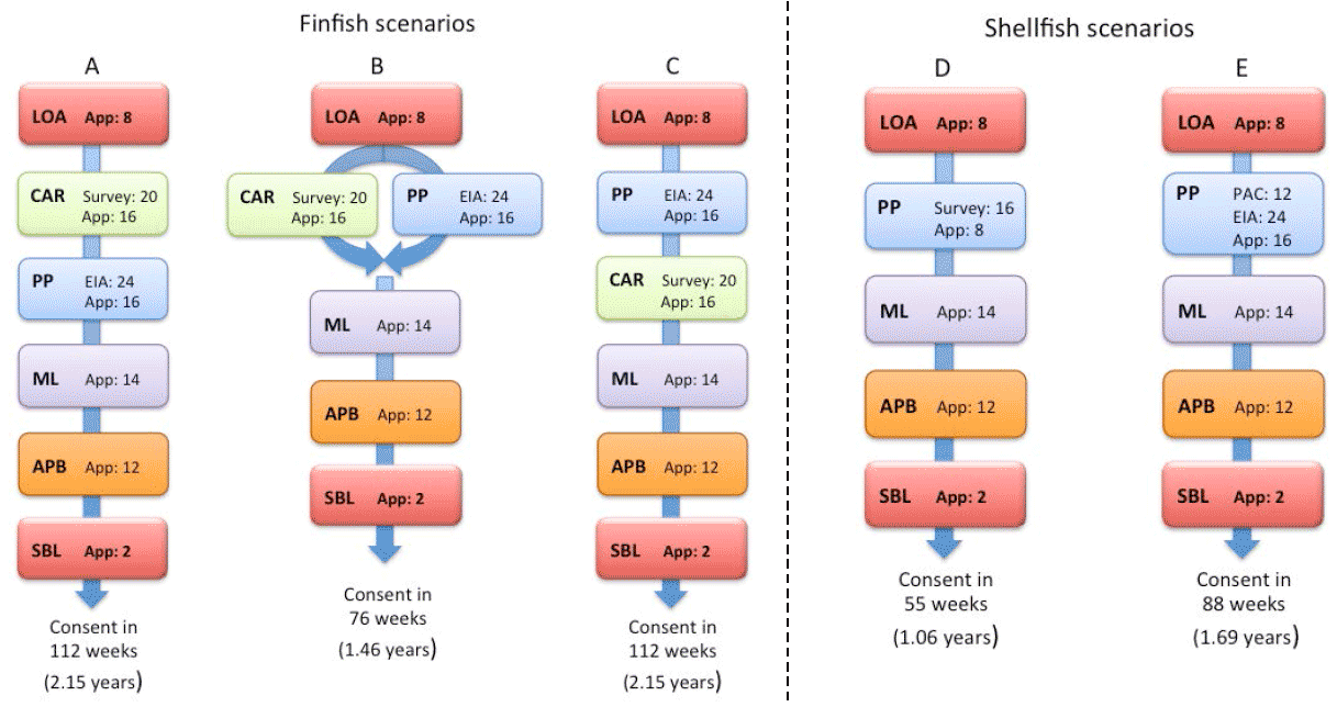 Figure 4.1: Scenarios for achieving consent for new finfish and shellfish aquaculture sites in chronological sequence (time periods are in weeks)