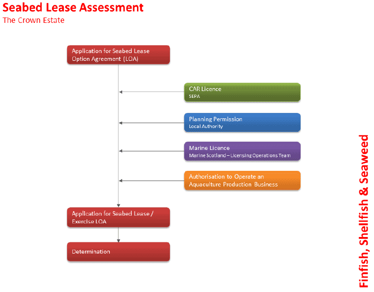 Figure 4.7. Process to obtain a seabed lease