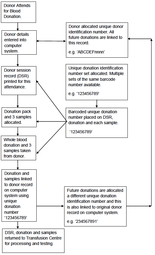 Appendix 4.1a: Simplified Process Map of Blood Collection