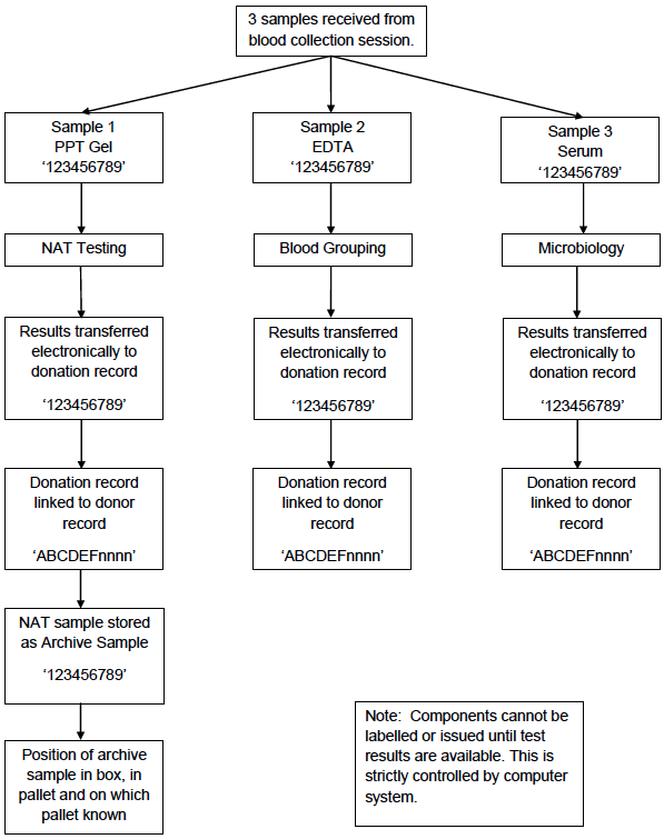 Appendix 4.1c: Simplified Process Map of Donation Testing