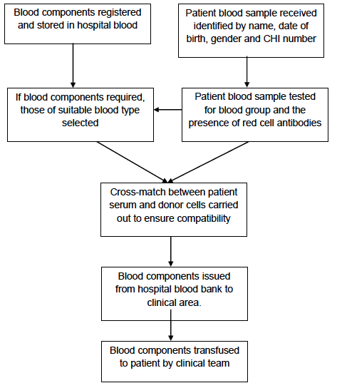 Appendix 4.1e: Simplified Process Map of Hospital Blood Bank Testing and Issue
