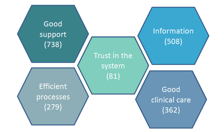 Figure 1: Positive aspects of care (number of comments)