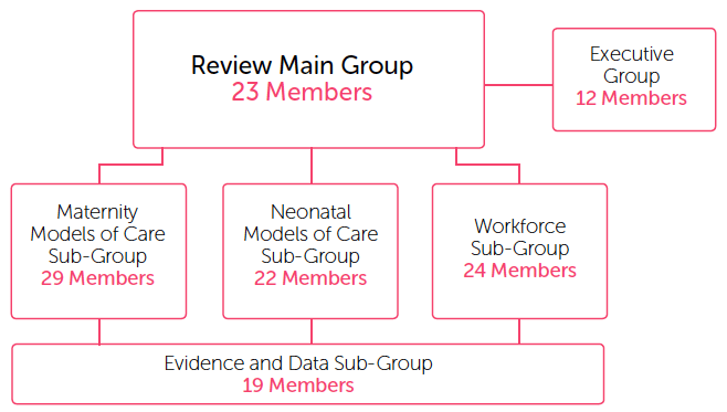 Figure 7: Review Governance Structure