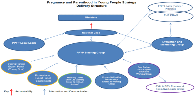 Figure 1: PPYP Strategy Delivery Structure 
