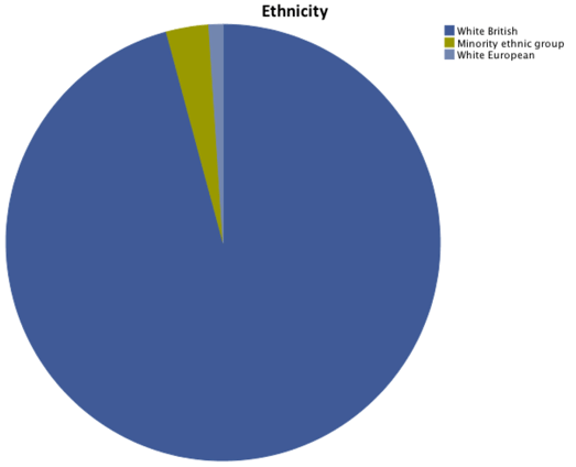 Ethnic group pie chart
